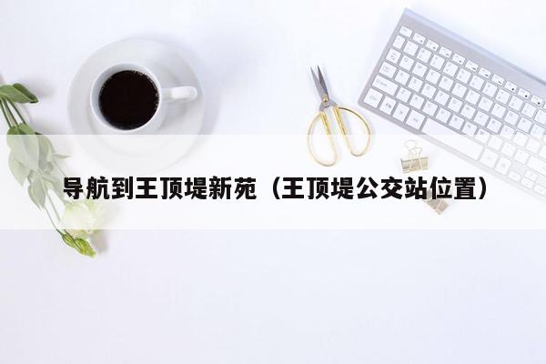 导航到王顶堤新苑（王顶堤公交站位置）