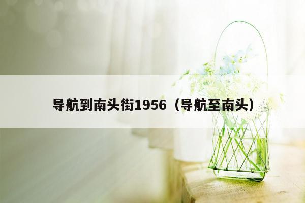 导航到南头街1956（导航至南头）