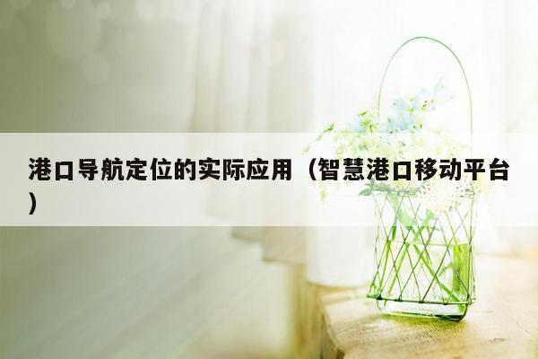 港口导航定位的实际应用（智慧港口移动平台）