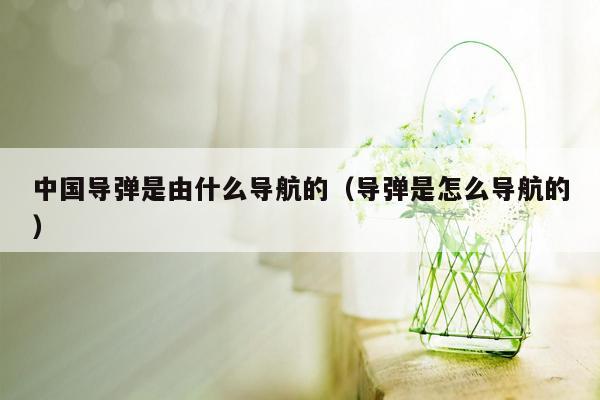 中国导弹是由什么导航的（导弹是怎么导航的）