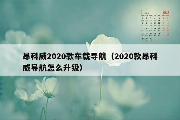 昂科威2020款车载导航（2020款昂科威导航怎么升级）