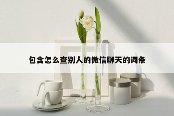 包含怎么查别人的微信聊天的词条