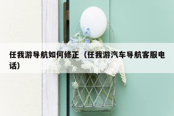 任我游导航如何修正（任我游汽车导航客服电话）