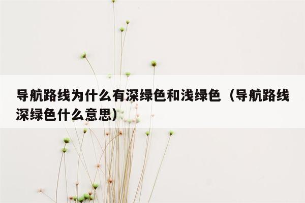 导航路线为什么有深绿色和浅绿色（导航路线深绿色什么意思）