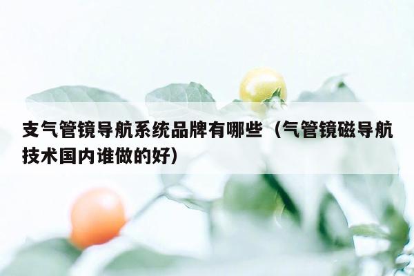 支气管镜导航系统品牌有哪些（气管镜磁导航技术国内谁做的好）