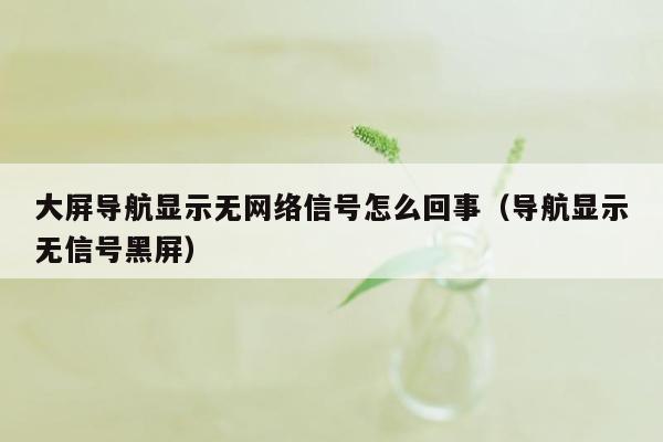 大屏导航显示无网络信号怎么回事（导航显示无信号黑屏）