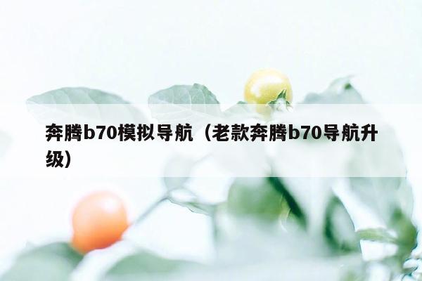 奔腾b70模拟导航（老款奔腾b70导航升级）