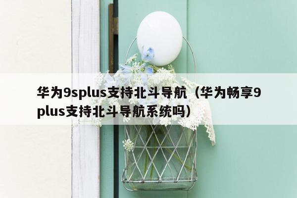 华为9splus支持北斗导航（华为畅享9plus支持北斗导航系统吗）