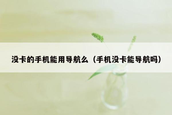 没卡的手机能用导航么（手机没卡能导航吗）