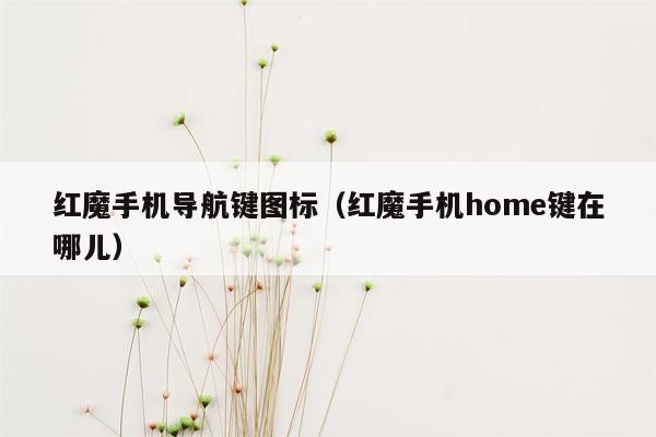 红魔手机导航键图标（红魔手机home键在哪儿）