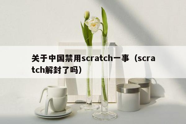 关于中国禁用scratch一事（scratch解封了吗）