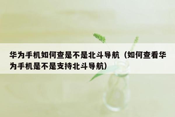 华为手机如何查是不是北斗导航（如何查看华为手机是不是支持北斗导航）