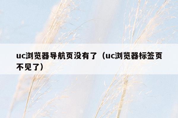 uc浏览器导航页没有了（uc浏览器标签页不见了）