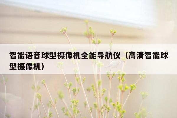 智能语音球型摄像机全能导航仪（高清智能球型摄像机）