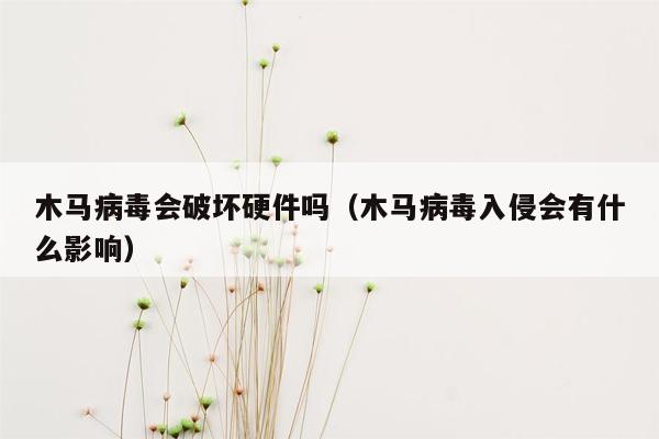 木马病毒会破坏硬件吗（木马病毒入侵会有什么影响）