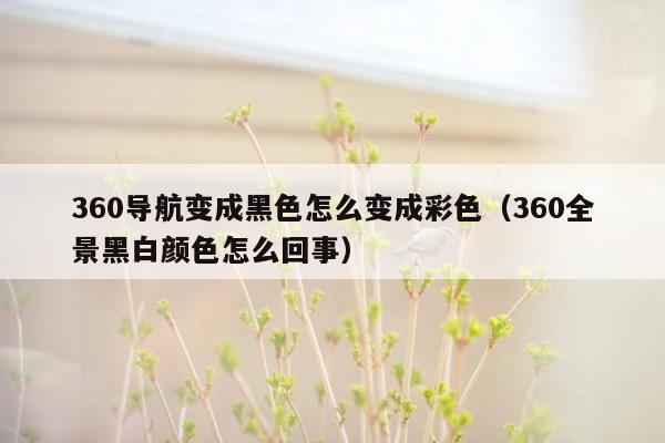 360导航变成黑色怎么变成彩色（360全景黑白颜色怎么回事）