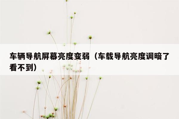 车辆导航屏幕亮度变弱（车载导航亮度调暗了看不到）