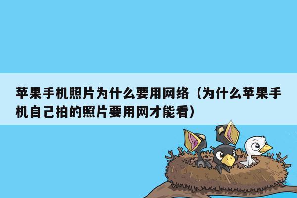 苹果手机照片为什么要用网络（为什么苹果手机自己拍的照片要用网才能看）