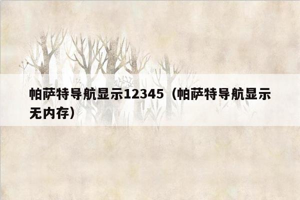 帕萨特导航显示12345（帕萨特导航显示无内存）