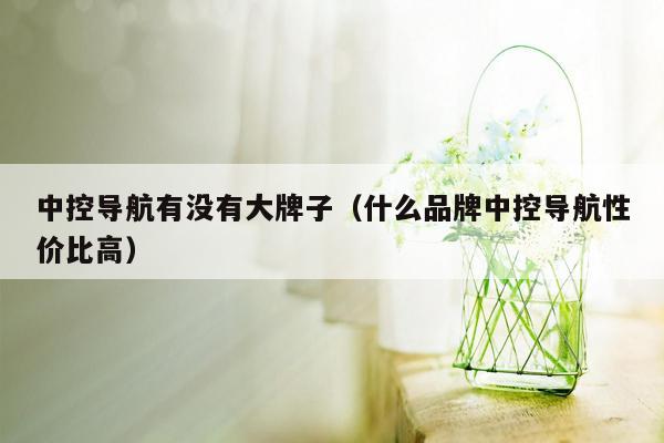 中控导航有没有大牌子（什么品牌中控导航性价比高）