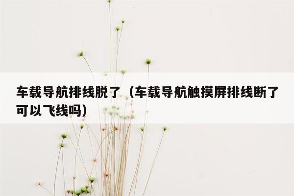 车载导航排线脱了（车载导航触摸屏排线断了可以飞线吗）