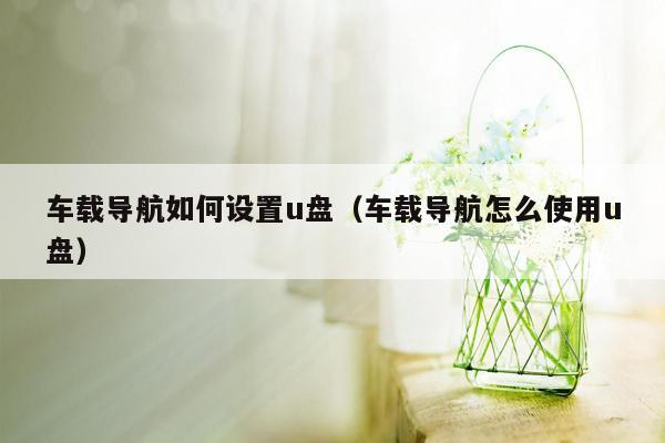 车载导航如何设置u盘（车载导航怎么使用u盘）