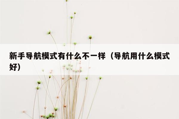 新手导航模式有什么不一样（导航用什么模式好）