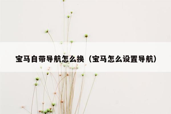 宝马自带导航怎么换（宝马怎么设置导航）