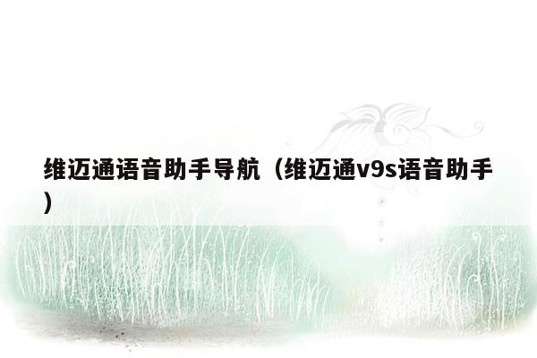 维迈通语音助手导航（维迈通v9s语音助手）