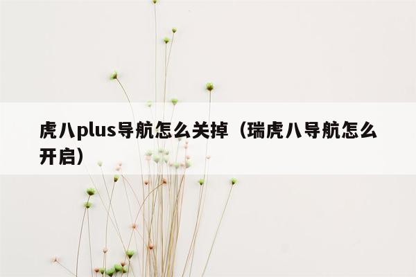 虎八plus导航怎么关掉（瑞虎八导航怎么开启）