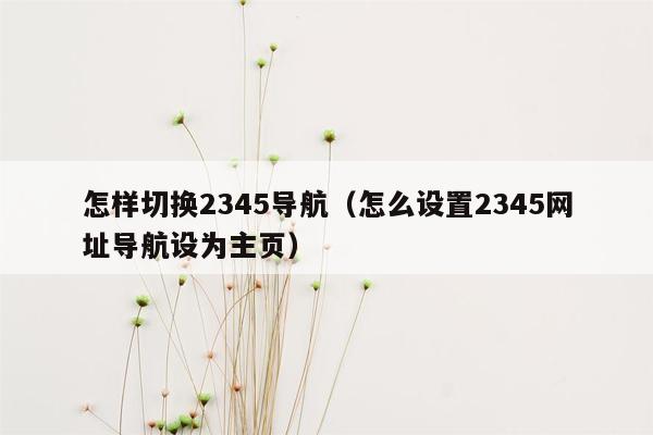 怎样切换2345导航（怎么设置2345网址导航设为主页）