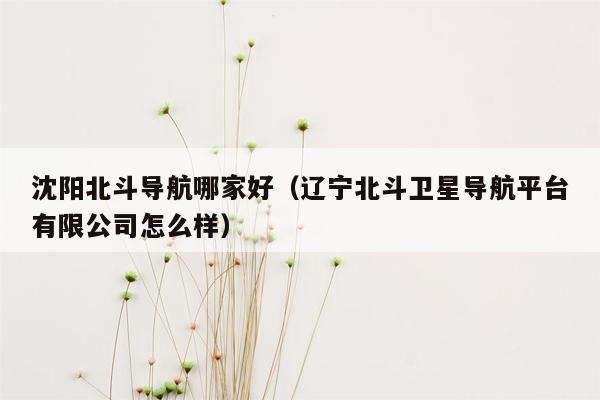 沈阳北斗导航哪家好（辽宁北斗卫星导航平台有限公司怎么样）