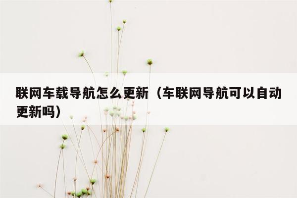 联网车载导航怎么更新（车联网导航可以自动更新吗）