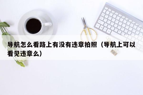 导航怎么看路上有没有违章拍照（导航上可以看见违章么）