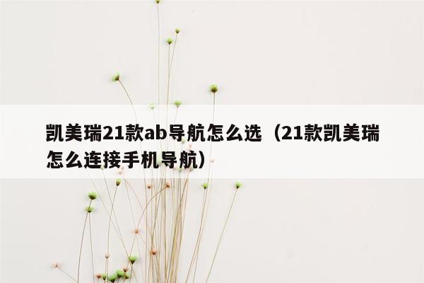 凯美瑞21款ab导航怎么选（21款凯美瑞怎么连接手机导航）