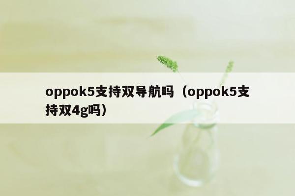 oppok5支持双导航吗（oppok5支持双4g吗）