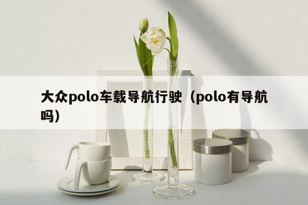 大众polo车载导航行驶（polo有导航吗）