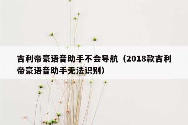 吉利帝豪语音助手不会导航（2018款吉利帝豪语音助手无法识别）