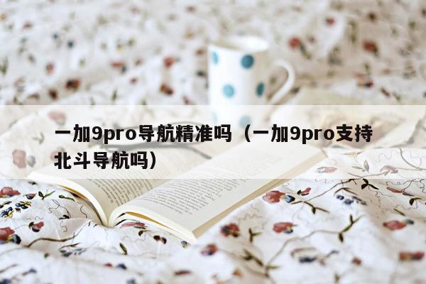 一加9pro导航精准吗（一加9pro支持北斗导航吗）