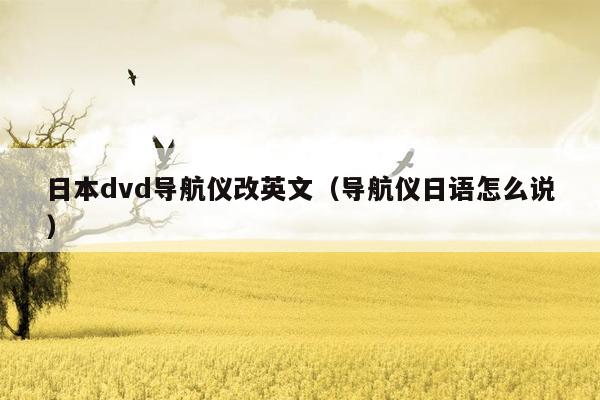 日本dvd导航仪改英文（导航仪日语怎么说）