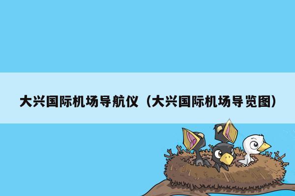 大兴国际机场导航仪（大兴国际机场导览图）