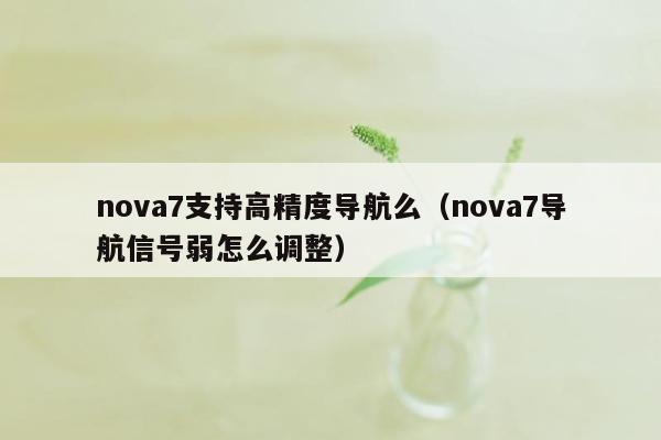 nova7支持高精度导航么（nova7导航信号弱怎么调整）