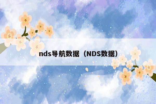 nds导航数据（NDS数据）