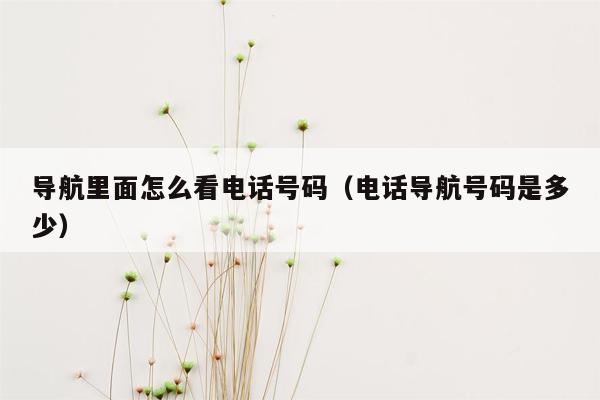 导航里面怎么看电话号码（电话导航号码是多少）