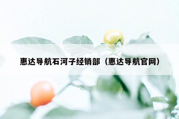 惠达导航石河子经销部（惠达导航官网）