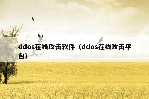ddos在线攻击软件（ddos在线攻击平台）