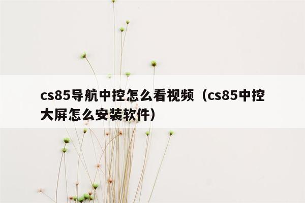 cs85导航中控怎么看视频（cs85中控大屏怎么安装软件）