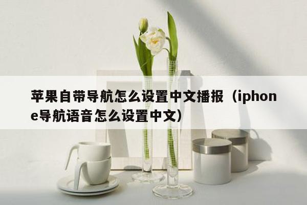 苹果自带导航怎么设置中文播报（iphone导航语音怎么设置中文）