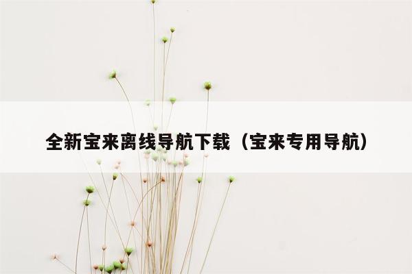 全新宝来离线导航下载（宝来专用导航）