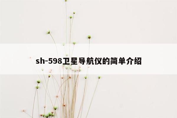 sh-598卫星导航仪的简单介绍